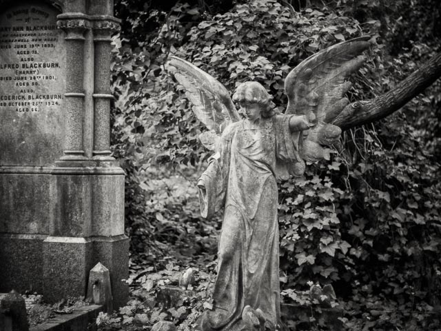 Nunhead Cemetery gallery - Image 6