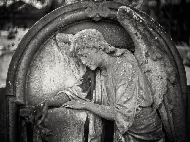 West Norwood Cemetery gallery - Image 2