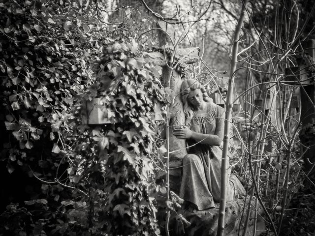 West Norwood Cemetery gallery - Image 4