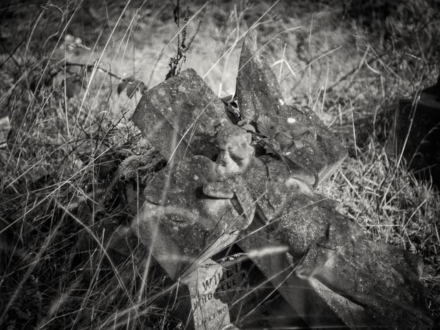 West Norwood Cemetery gallery - Image 5
