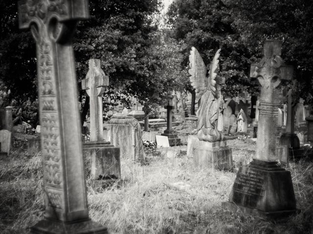 West Norwood Cemetery gallery - Image 6