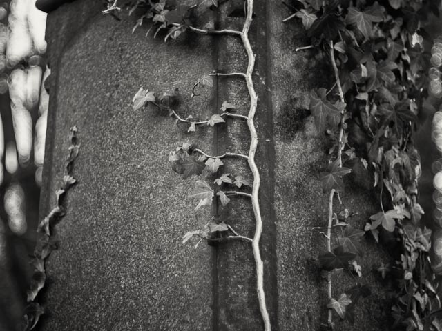West Norwood Cemetery gallery - Image 8