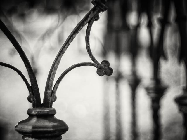 West Norwood Cemetery gallery - Image 11