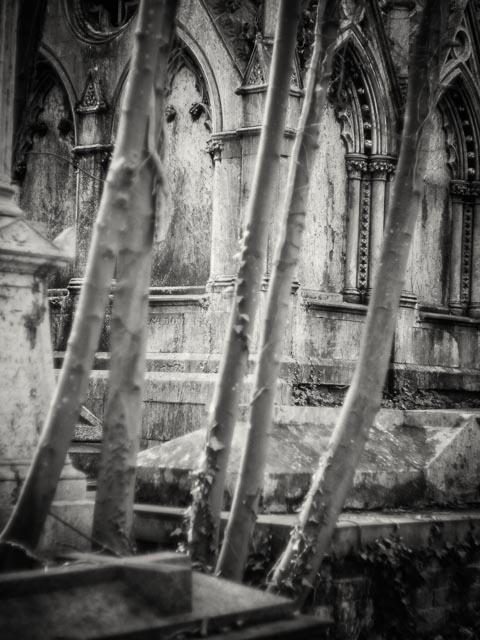 West Norwood Cemetery gallery - Image 12