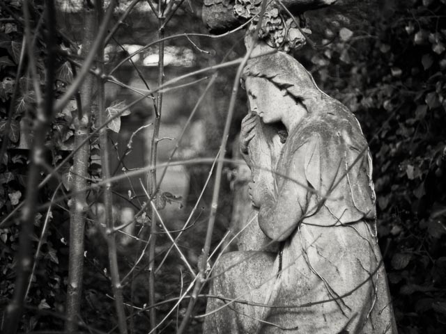 West Norwood Cemetery gallery - Image 16