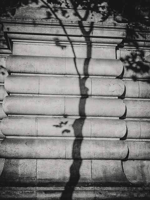 Shadow of a tree on a metro station on the Boulevard de la Chapelle (10th arrondissement) + Olympus OM-D E-M10 + Panasonic Leica DG Summilux 25mm f/1.4 Asph.