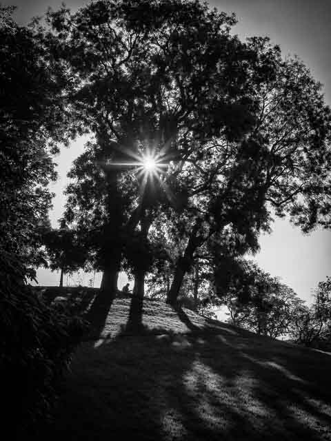 Parc des Buttes-Chaumond (19th arrondissement) + Olympus OM-D E-M10 + Panasonic Leica DG Summilux 25mm f/1.4 Asph.