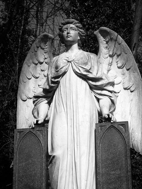 $countries_display[$i] image 103