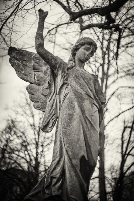 $countries_display[$i] image 71