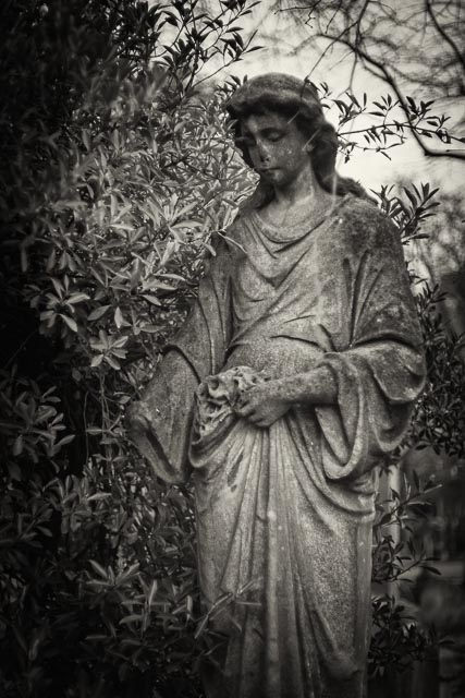 $countries_display[$i] image 70