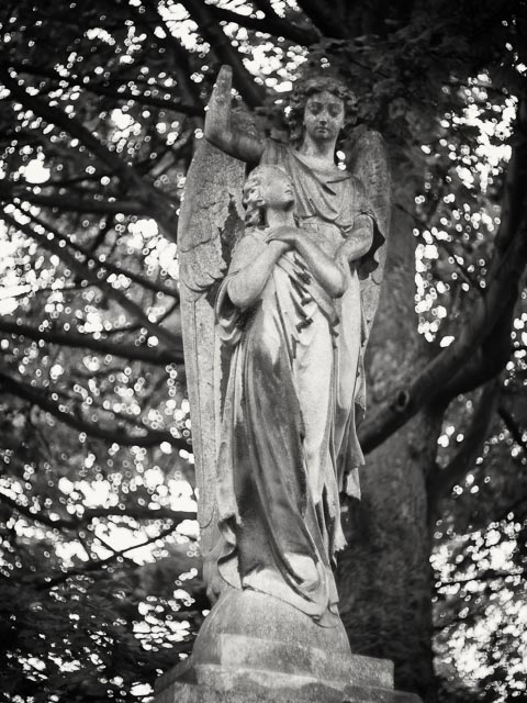 $countries_display[$i] image 67