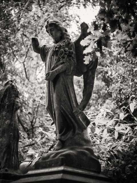 $countries_display[$i] image 65