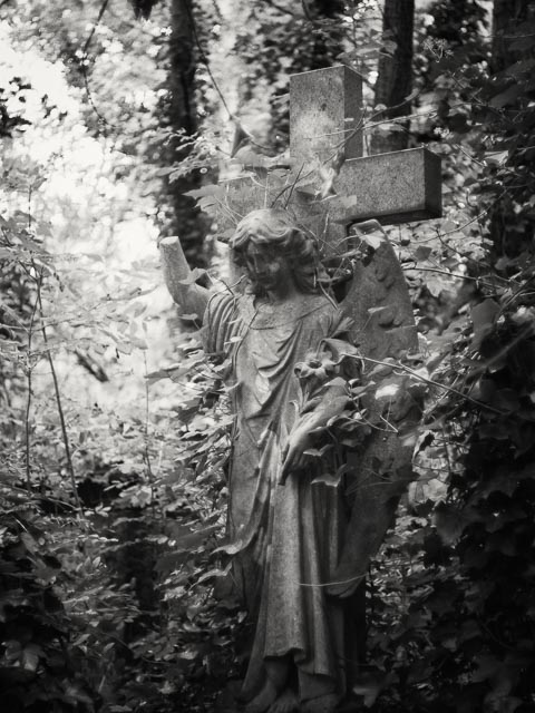 $countries_display[$i] image 63