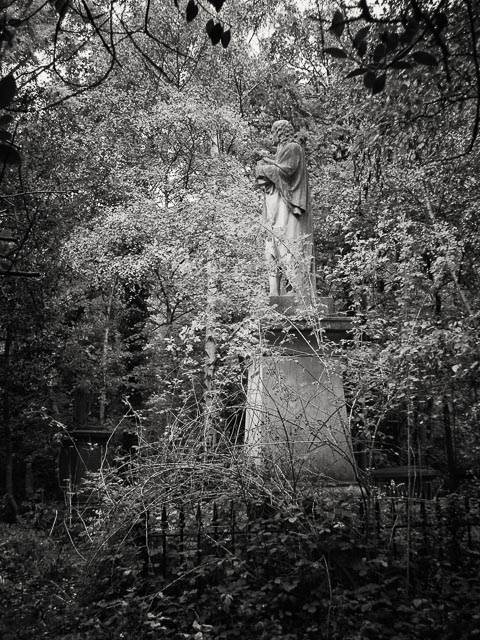 $countries_display[$i] image 61