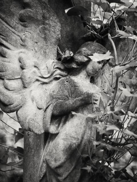 $countries_display[$i] image 60