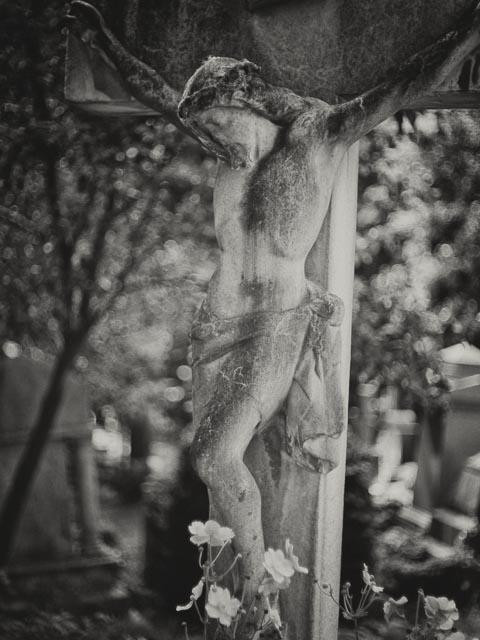 $countries_display[$i] image 52