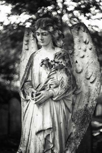 $countries_display[$i] image 51