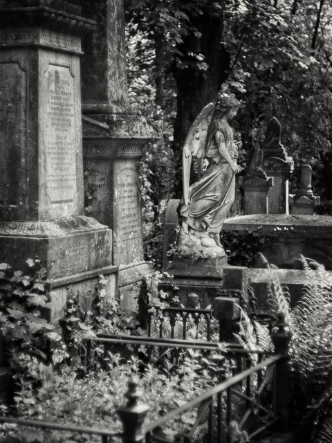 $countries_display[$i] image 42