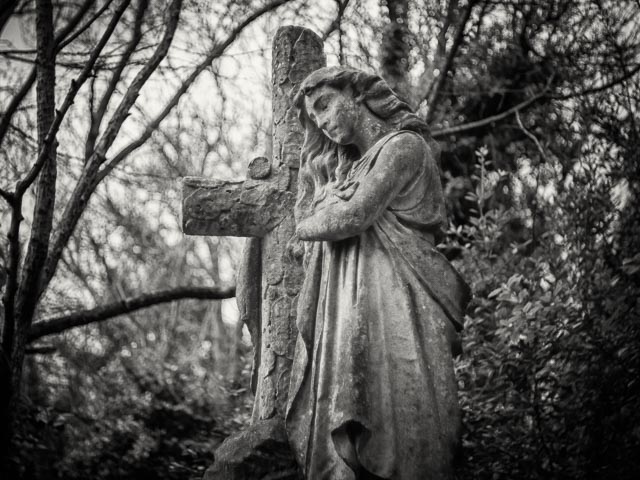 $countries_display[$i] image 41