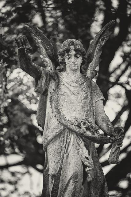 $countries_display[$i] image 17