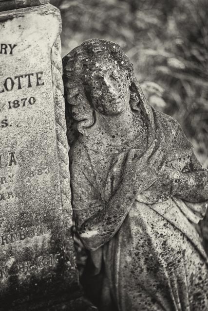 $countries_display[$i] image 15