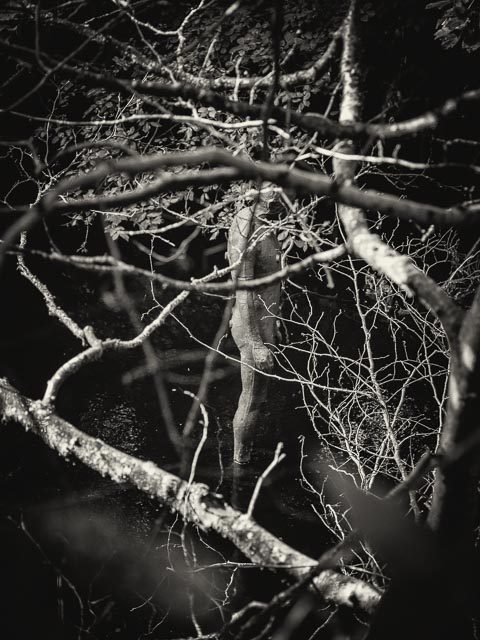 $countries_display[$i] image 9