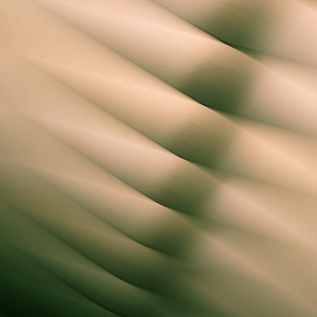 Venetian geometry 10