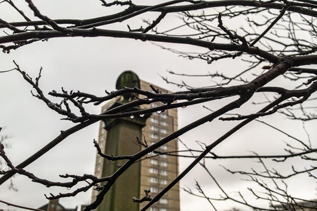 DxO One gallery - Image 6