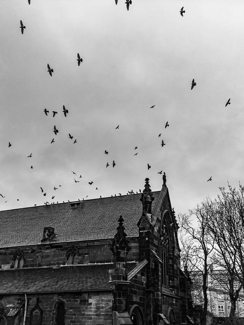 DxO One gallery - Image 8