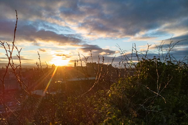 DxO One gallery - Image 12