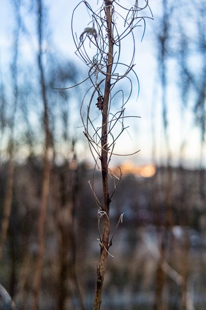 DxO One gallery - Image 15