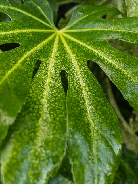 DxO One gallery - Image 17