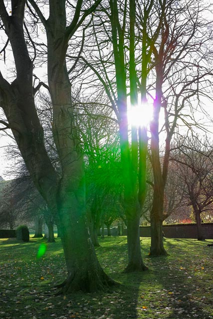 Sigma DP2 Merrill gallery - Image 2