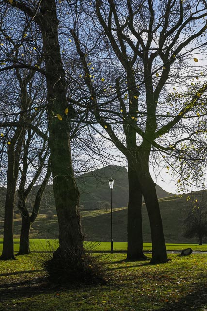 Sigma DP2 Merrill gallery - Image 5