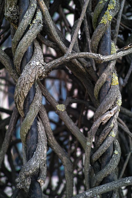 Sigma DP2 Merrill gallery - Image 9