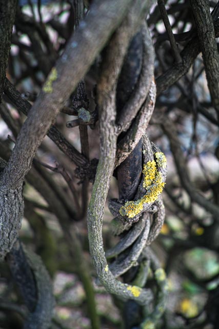 Sigma DP2 Merrill gallery - Image 10