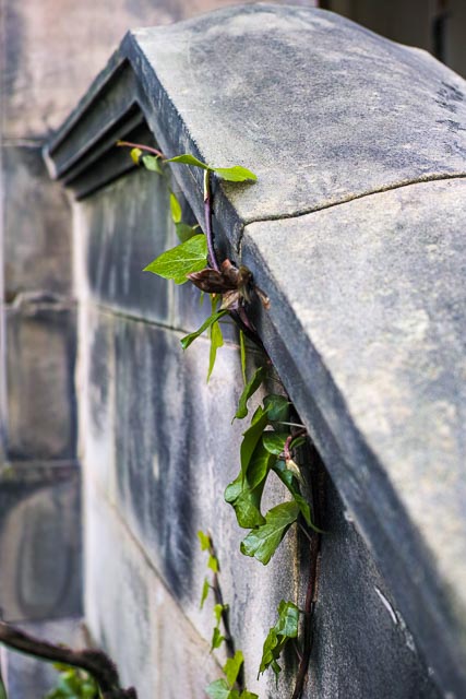 Sigma DP2 Merrill gallery - Image 16