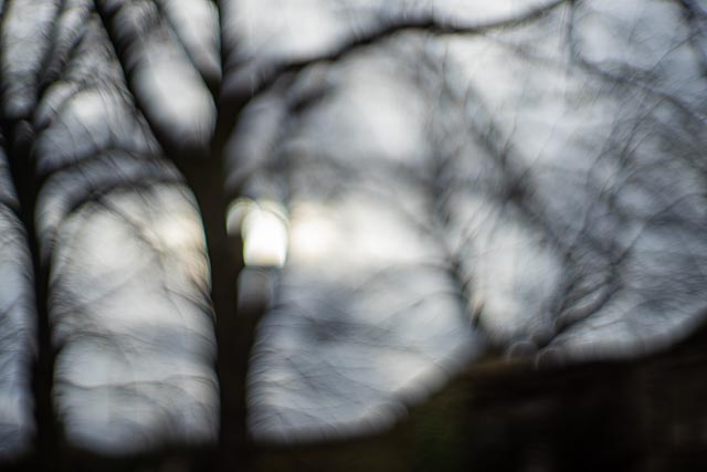Canon 50mm f/1.2 (Leica screw mount) gallery - Image 16