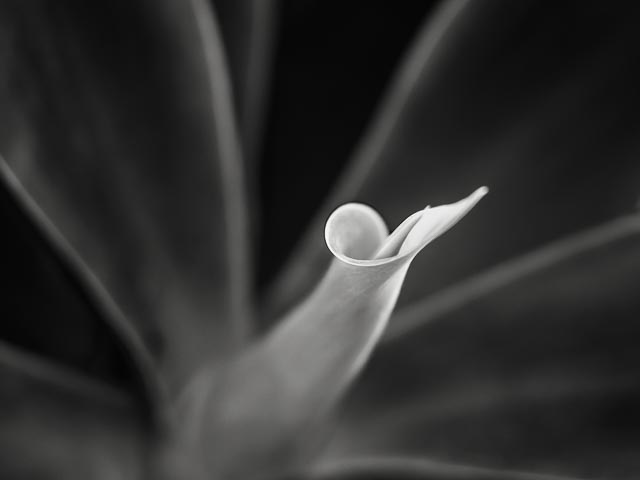 Classic lenses 19