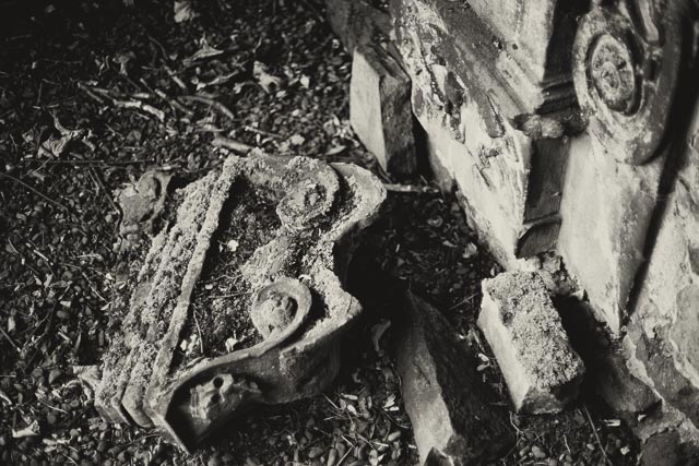 Minolta MD Rokkor 50mm f/1.4 gallery 8