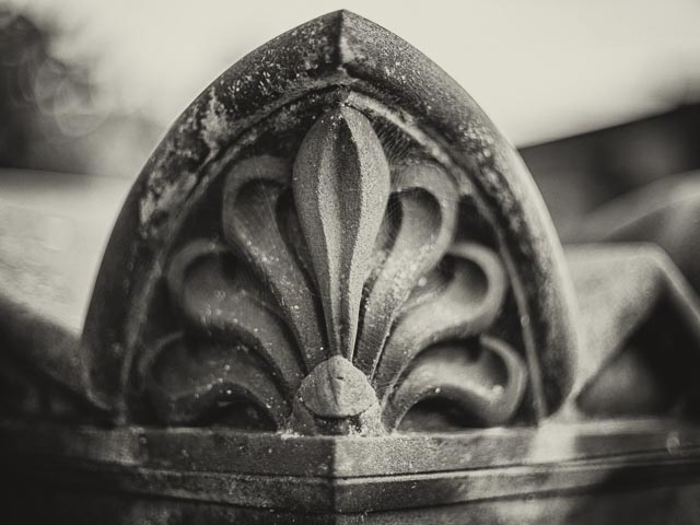 Minolta MD Rokkor 50mm f/1.4 gallery 11