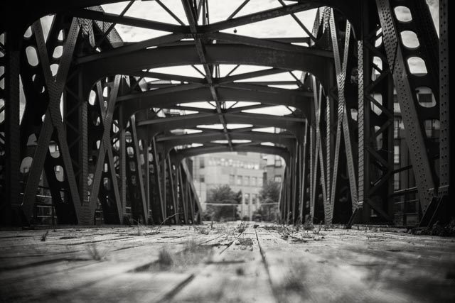 Minolta MD Rokkor 50mm f/1.4 gallery 13