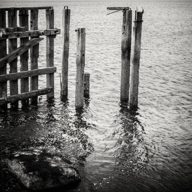 Minolta MD Rokkor 50mm f/1.4 gallery 18