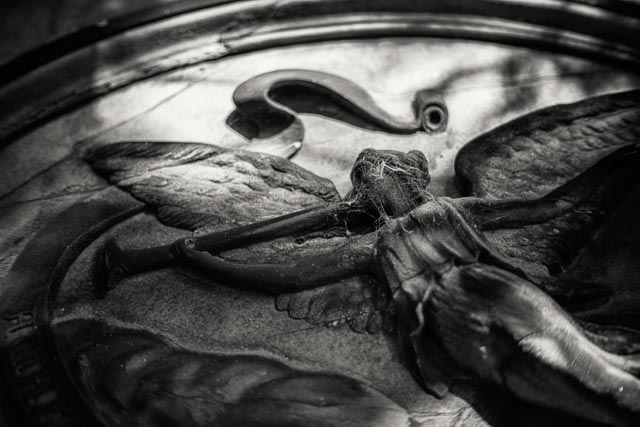 Olympus Pen F lenses on full-frame digital gallery - image 14