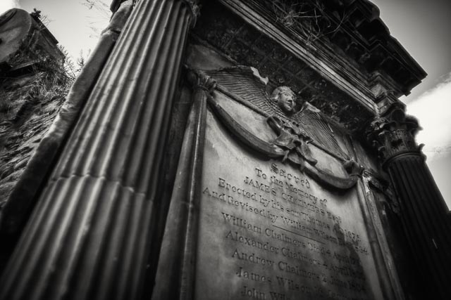 Tamron 24mm f/2.5 (01B) gallery - Image 8