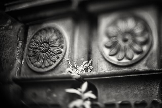 Freelensing gallery - Image 18