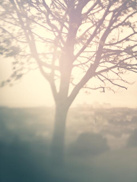 Freelensing gallery - Image 19