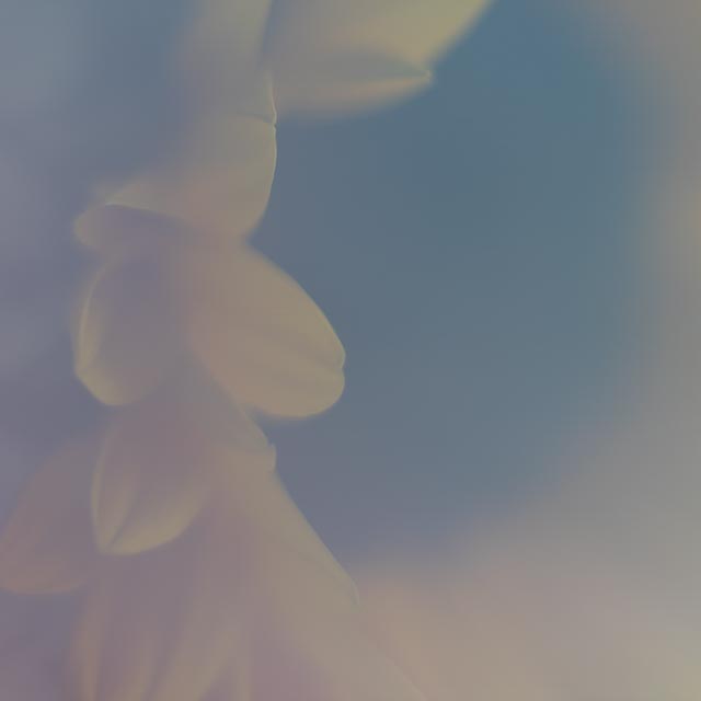 Freelensing gallery - Image 1