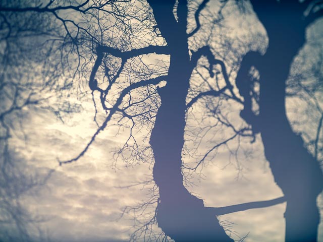 Freelensing gallery - Image 15