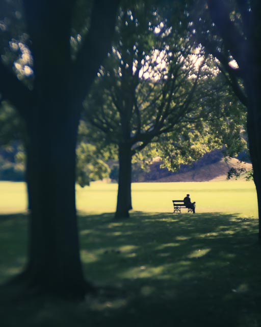 Freelensing gallery - Image 20